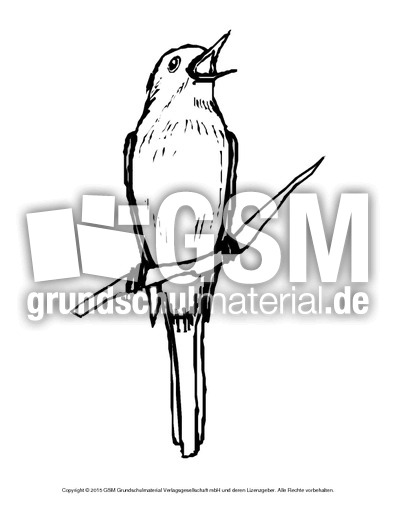 Ausmalbild-Nachtgall.pdf